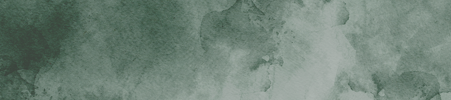 Bannerbild